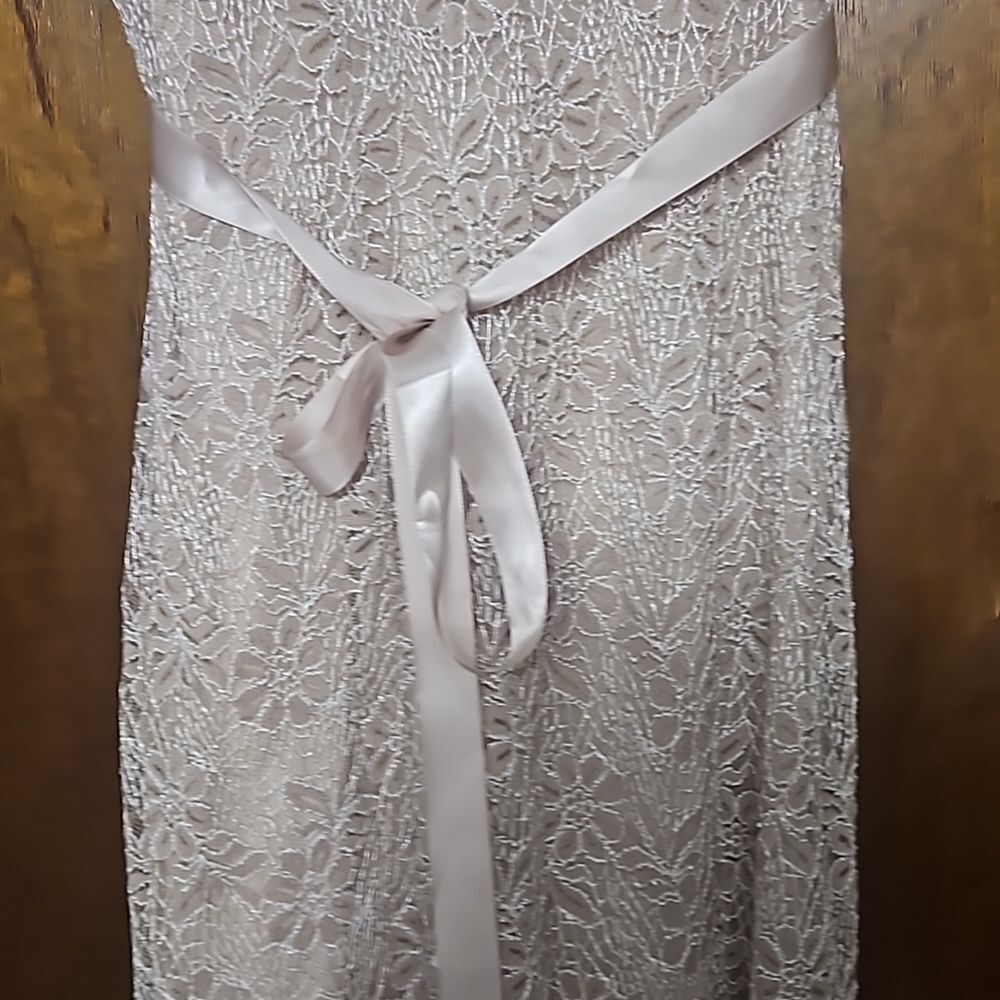 Cardalite Lace dress size MP - Picture 4 of 8